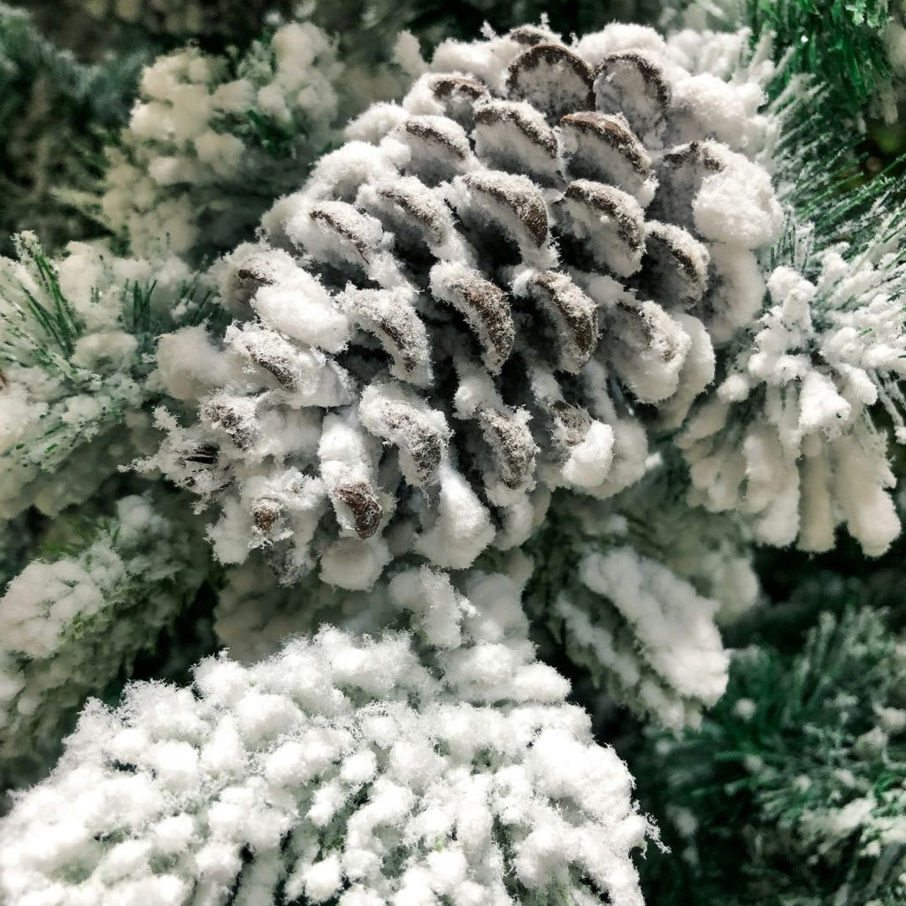 Couronnes de Noël naturelles – Fait main à Gatineau