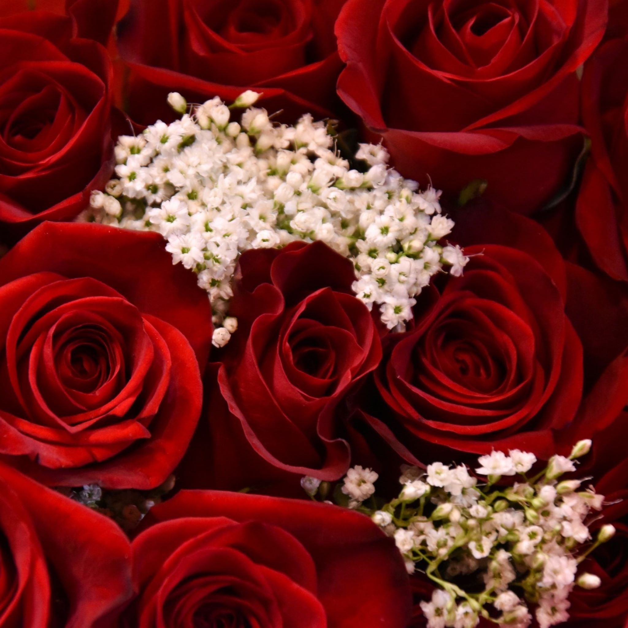 Bouquet de roses