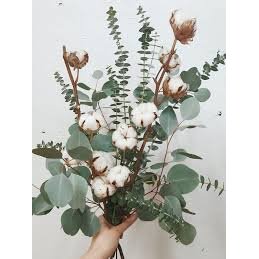 Bouquet de lavande, eucalyptus et de fleurs de coton - Atelier Balsam