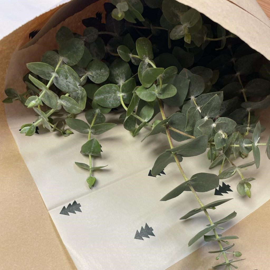 Bouquet d’eucalyptus frais - Atelier Balsam