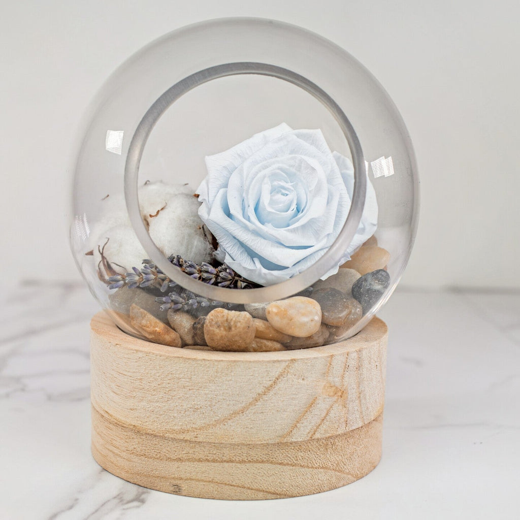 Rose préservée dans un vase style scandinave - Atelier Balsam