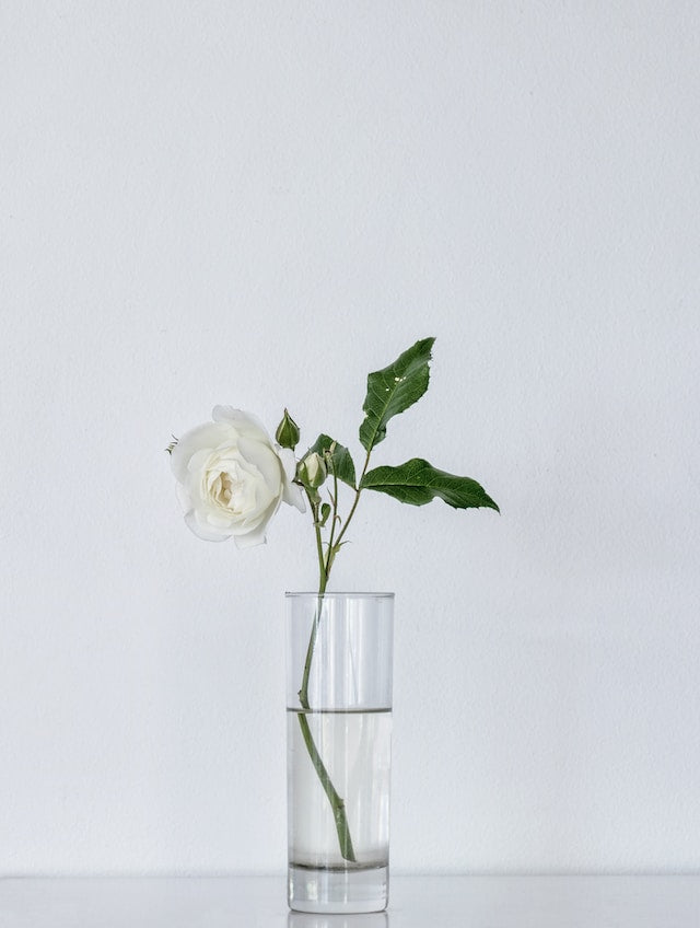 Vase cylindrique en verre clair - Atelier Balsam